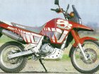 1992 Suzuki DR 800S Big